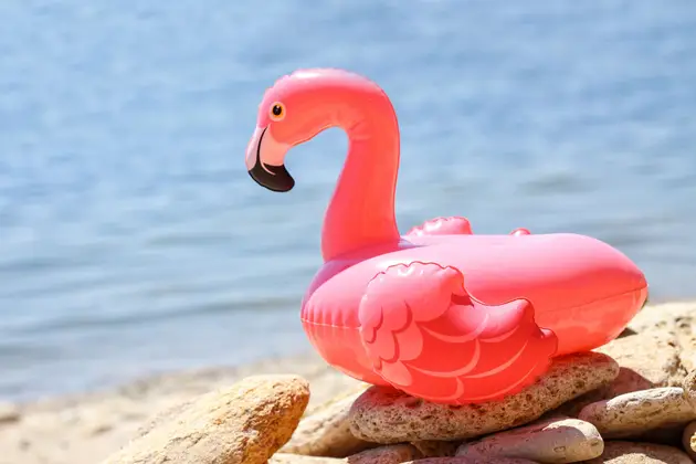 Pink inflatable flamingo resting on smooth beach stones beside calm water.
